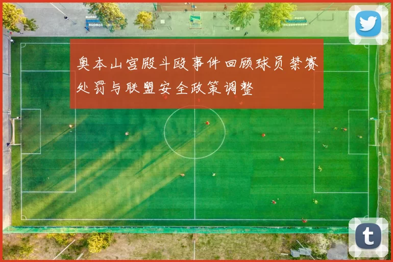 奥本山宫殿斗殴事件回顾球员禁赛处罚与联盟安全政策调整