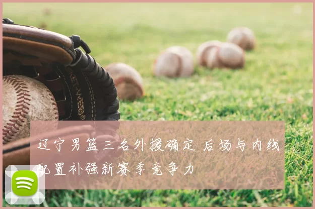 辽宁男篮三名外援确定 后场与内线配置补强新赛季竞争力